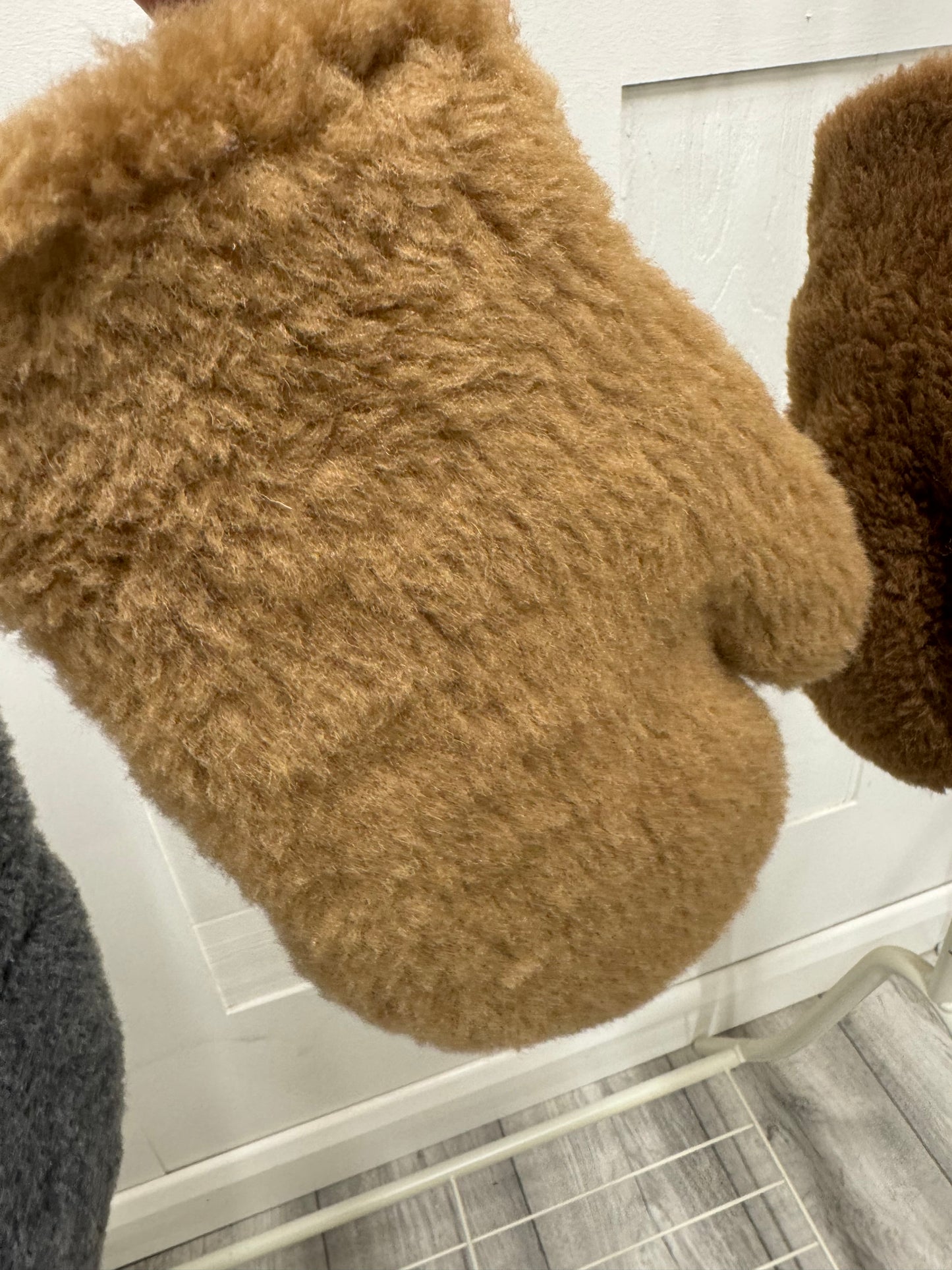 Teddy Mittens On A String