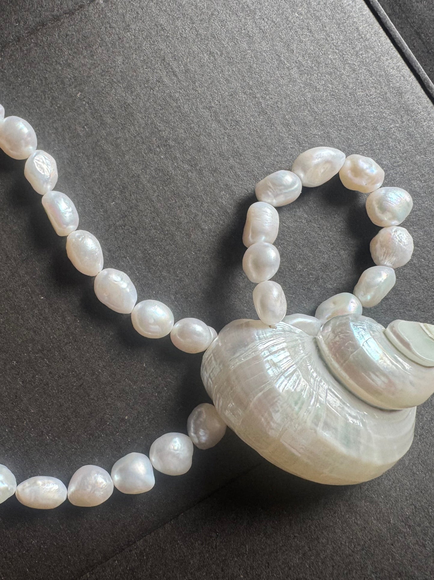 Estelle Mother of Pearl Single Shell Choker