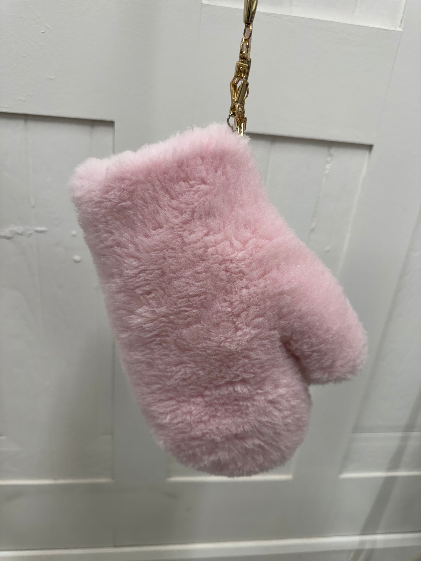 Teddy Mittens On A String