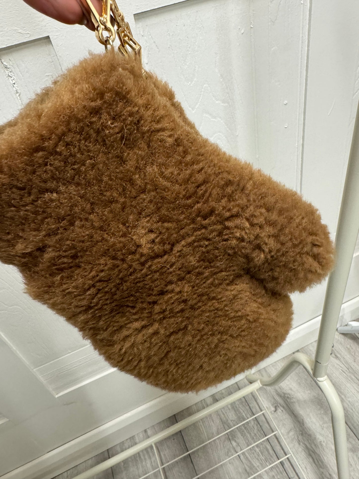 Teddy Mittens On A String