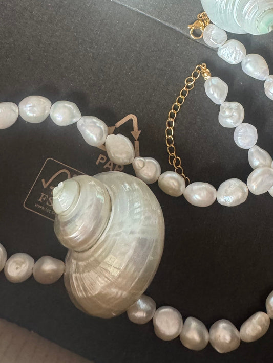 Estelle Mother of Pearl Single Shell Choker
