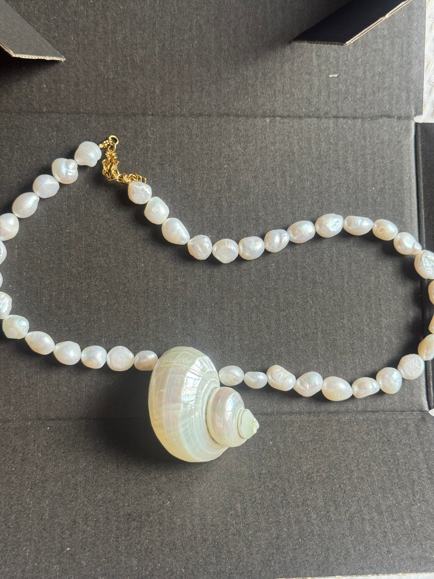 Estelle Mother of Pearl Single Shell Choker