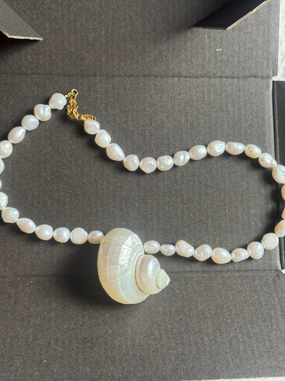 Estelle Mother of Pearl Single Shell Choker