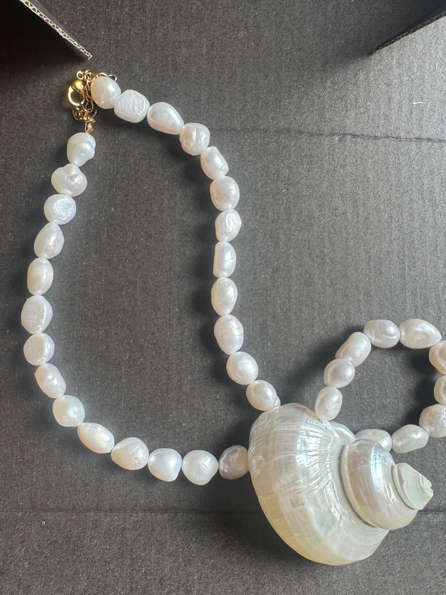 Estelle Mother of Pearl Single Shell Choker