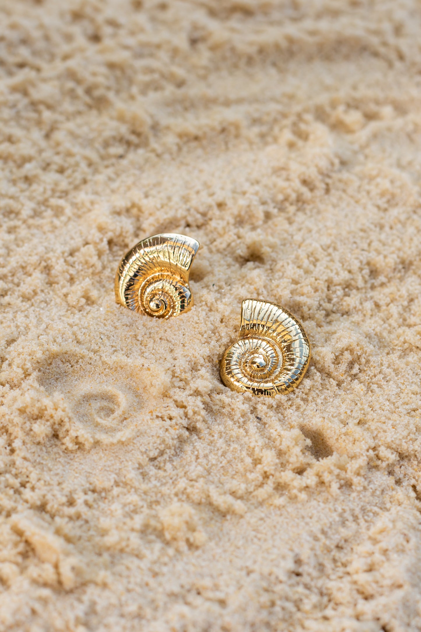 Mini Siren Shell Earrings In Gold & Silver