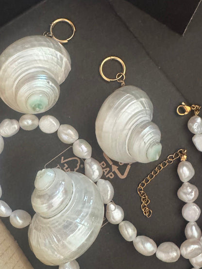 Estelle Mother of Pearl Single Shell Choker