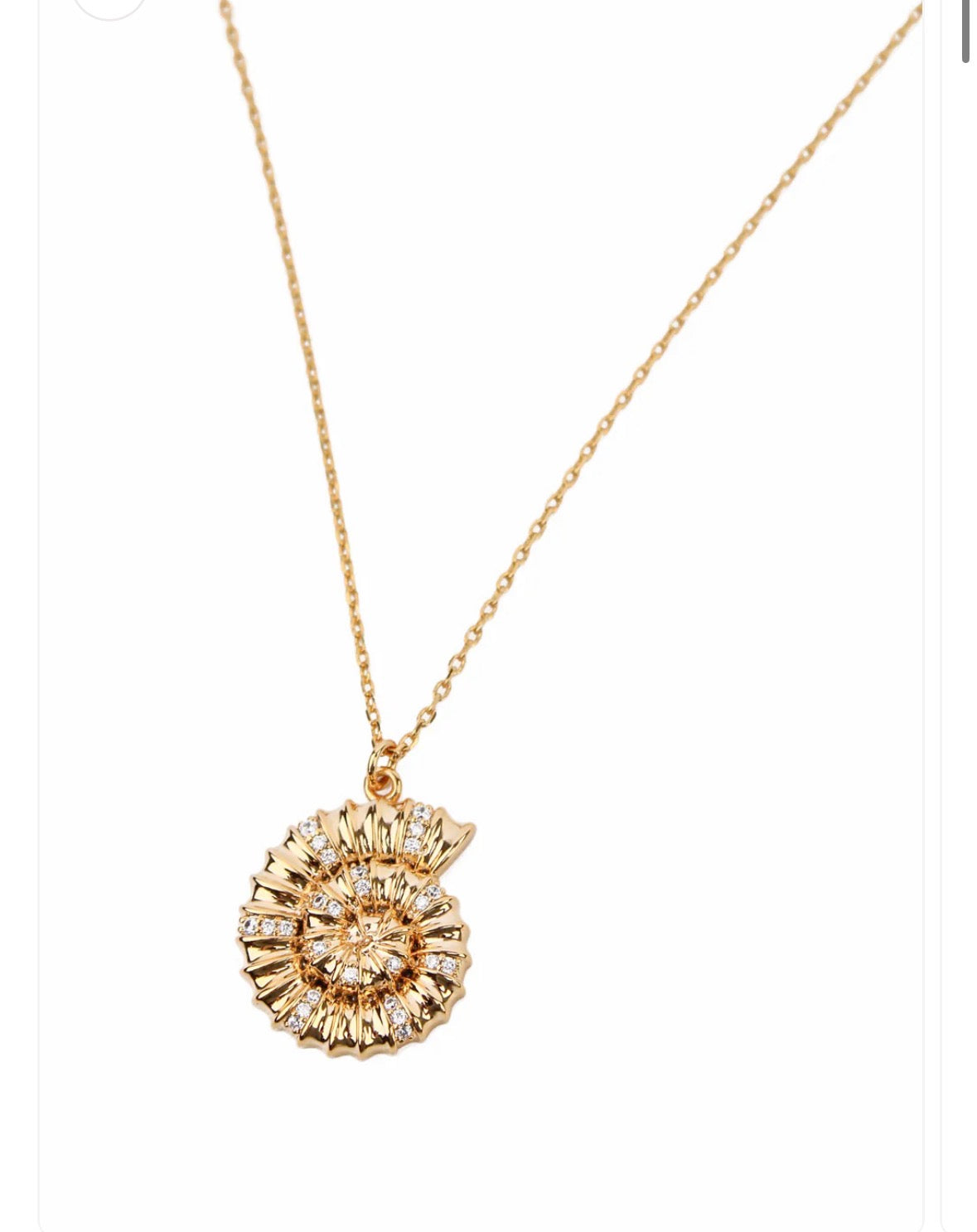 Round Shell Necklace