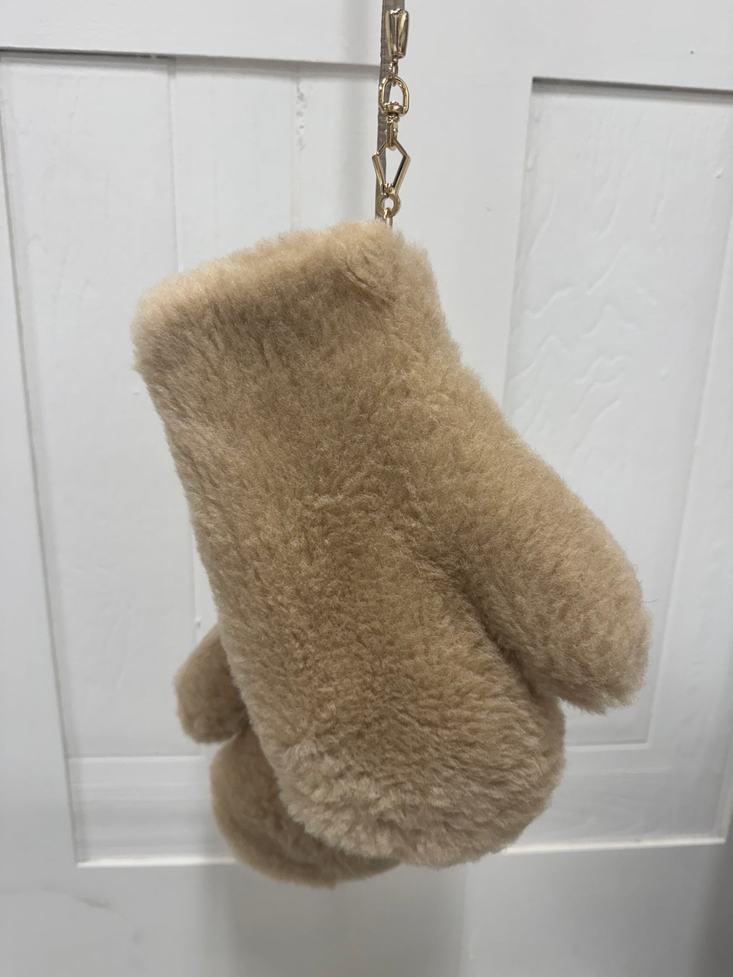 Teddy Mittens On A String